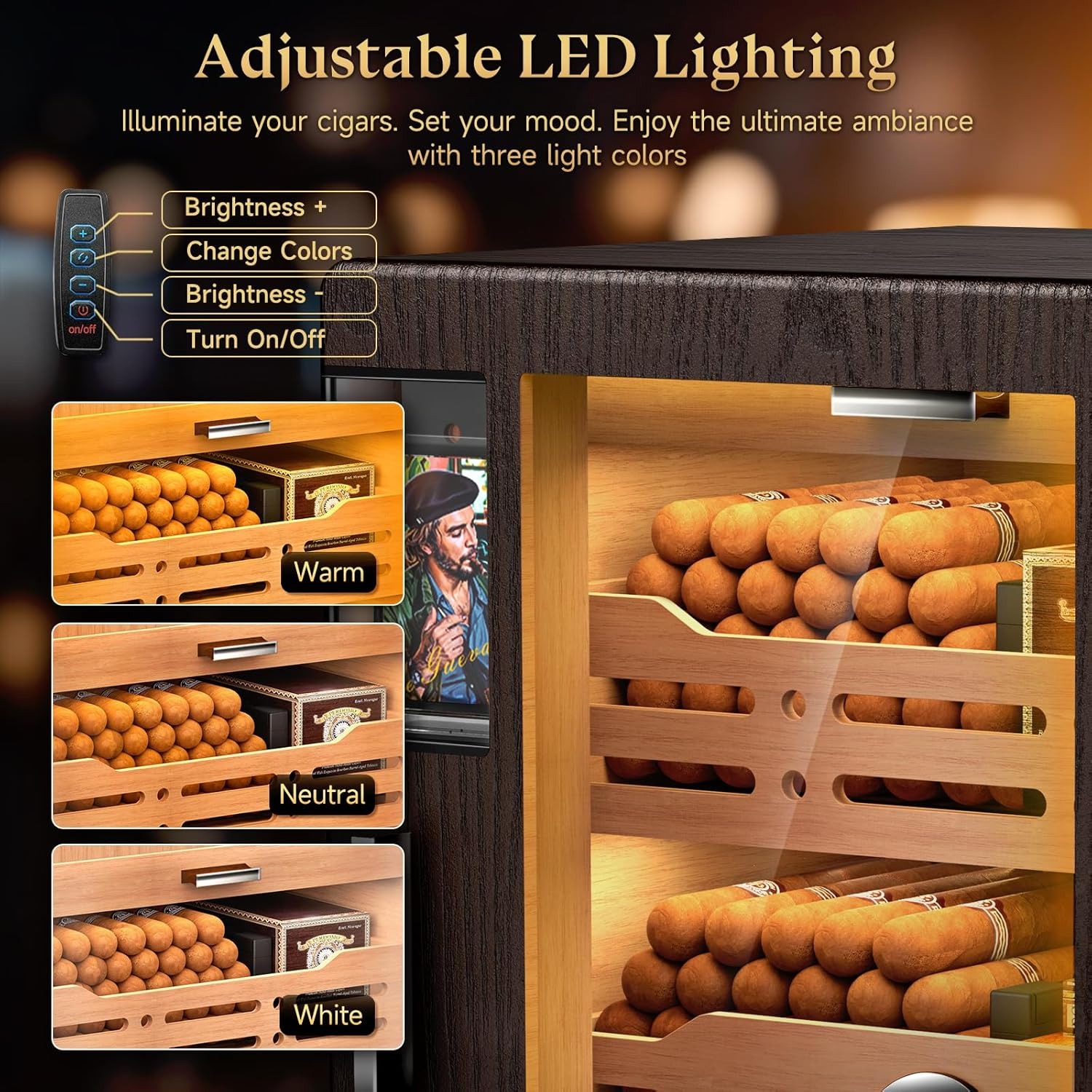 81Z4SjPdSJL._AC_SL1500