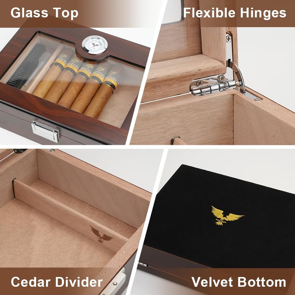 618d dTfPOL._AC_SL1000