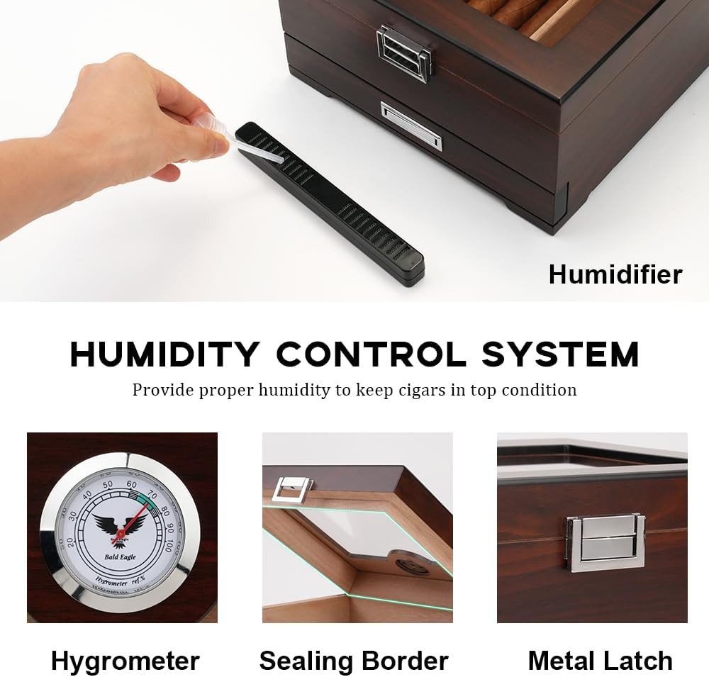 619tbLA9gRL._AC_SL1000