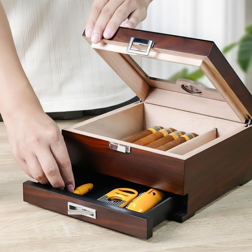 61P5MS9xQZL._AC_SL1000