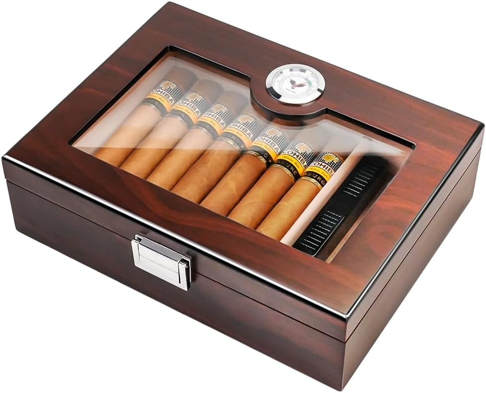 61djpBzJLPL._AC_SL1000