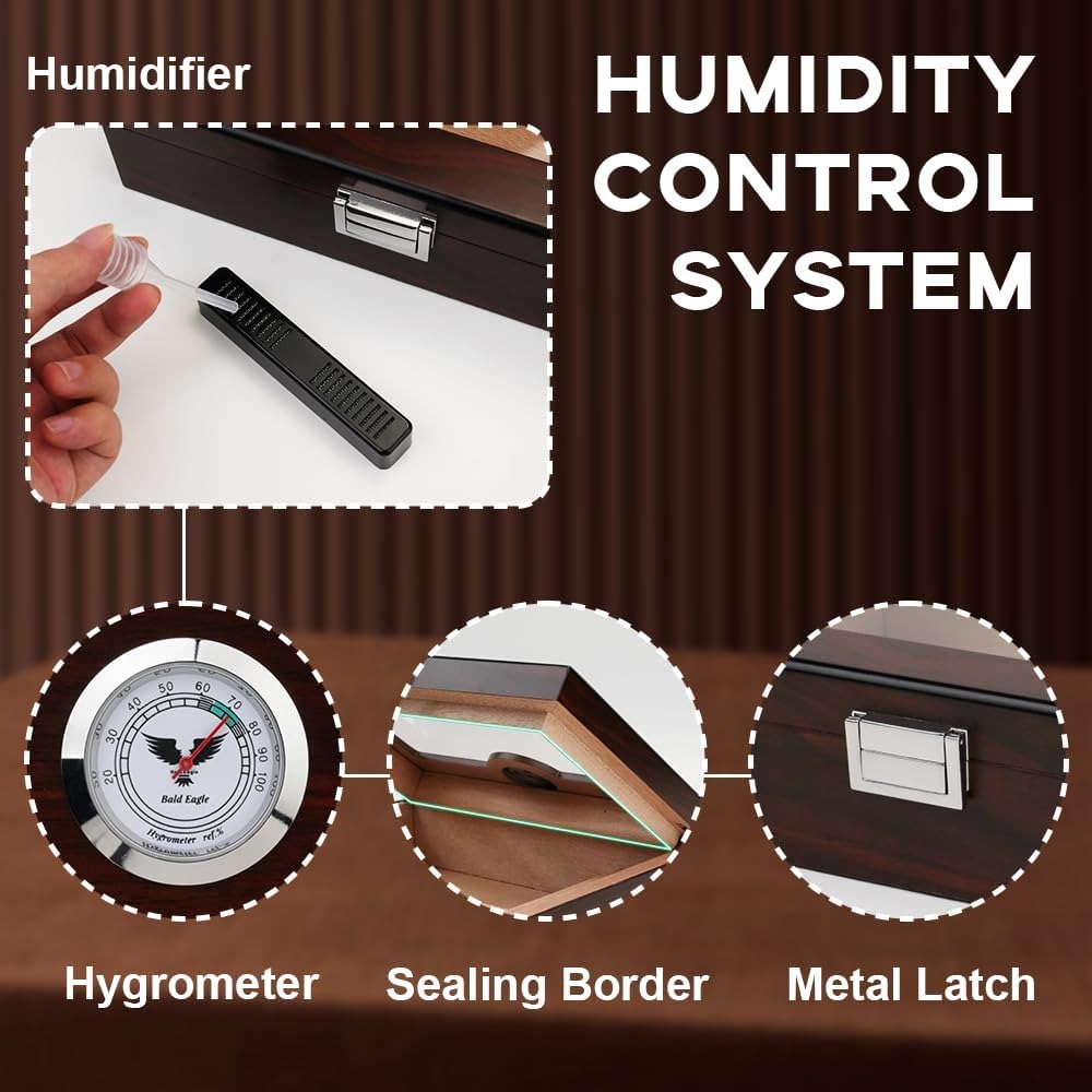 61u oNZT0WL._AC_SL1000