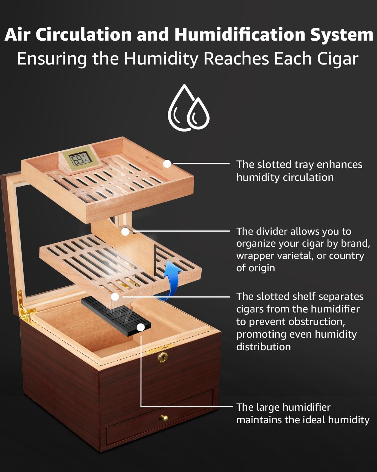 71vtROH9J6L._AC_SL1500